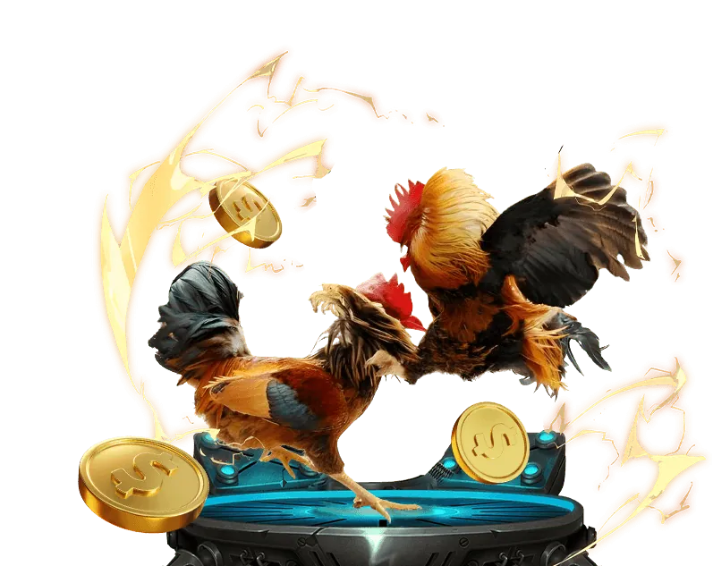 Hình ảnh minh họa các chương trình khuyến mãi 55cc